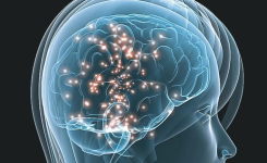 POSPUESTA LA CONFERENCIA PREVISTA PARA EL MARTES 28 de enero a las 20.15h. DR. ANTONIO GOSÁLVEZ VEGA:  «TU CEREBRO TE ENGAÑA: LOS SESGOS COGNITIVOS»